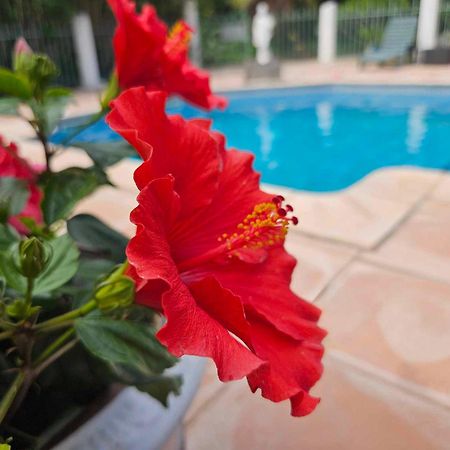 Les Jardins Du Patriarche Hotel Agde Luaran gambar