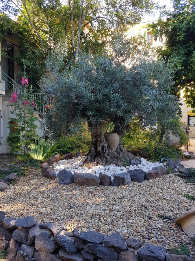 Les Jardins Du Patriarche Hotel Agde Luaran gambar