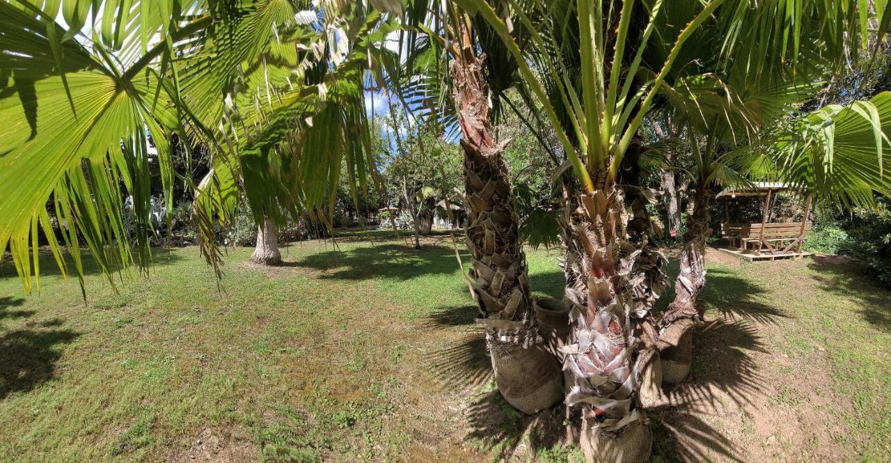 Les Jardins Du Patriarche Hotel Agde Luaran gambar