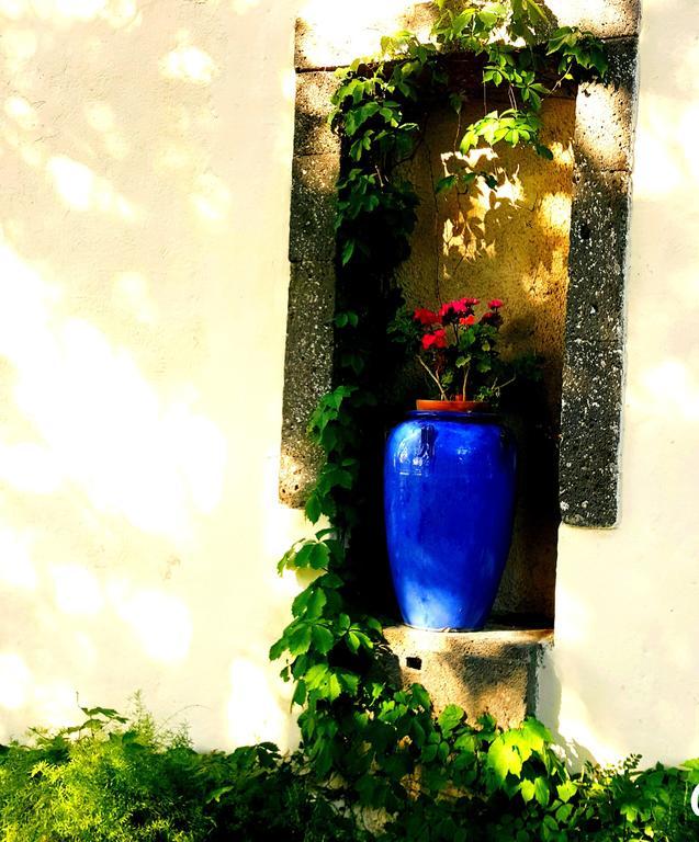 Les Jardins Du Patriarche Hotel Agde Luaran gambar