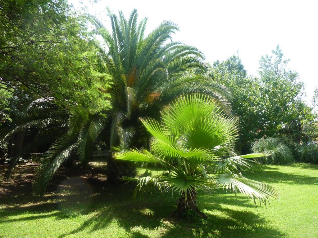 Les Jardins Du Patriarche Hotel Agde Luaran gambar
